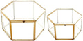2Pcs Geometrical Clear Glass Jewelry Box Jewelry Organize Holder Tabletop Succulent Plants Container Home Storage
