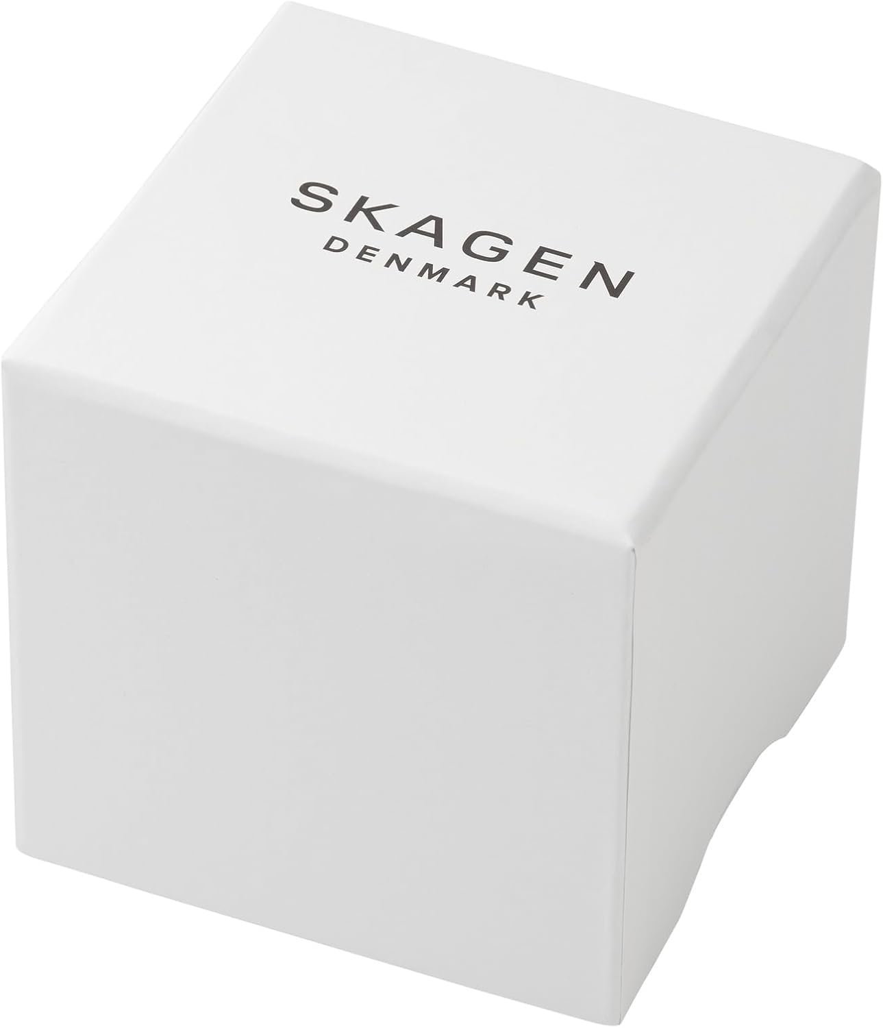 Skagen Hagen Lille Rectangular Stainless Steel Watch for Women