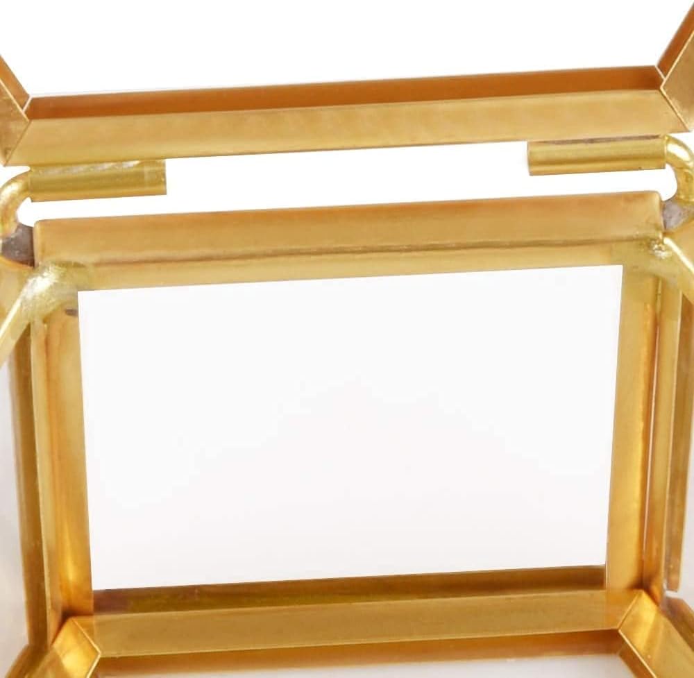 Girls Jewelry Box Jewelry Organizer Jewelry Cabinet Jewelry Box Ornaments Jewel Casket Wedding Ring Container Desktop Display Tabletop Succulent Plants Decor Jewelry Storage Box