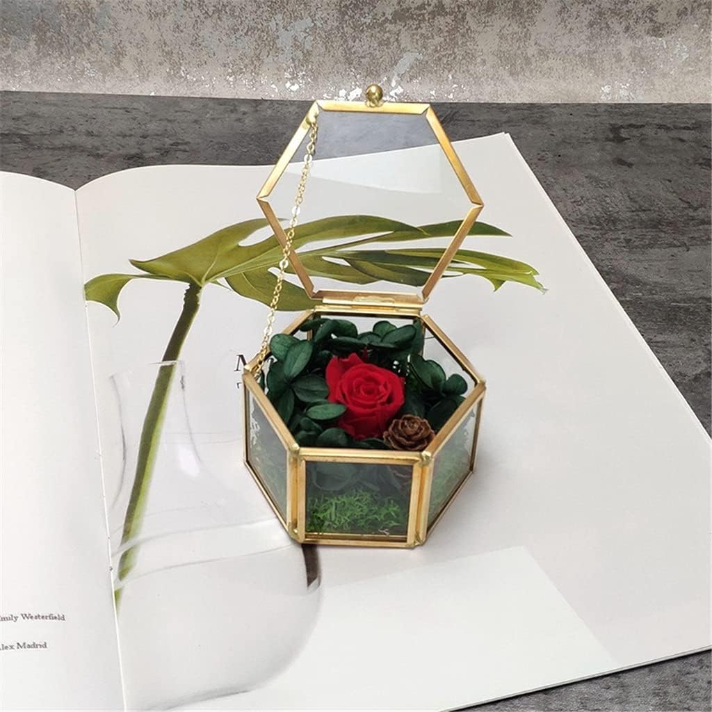 2Pcs Geometrical Clear Glass Jewelry Box Jewelry Organize Holder Tabletop Succulent Plants Container Home Storage