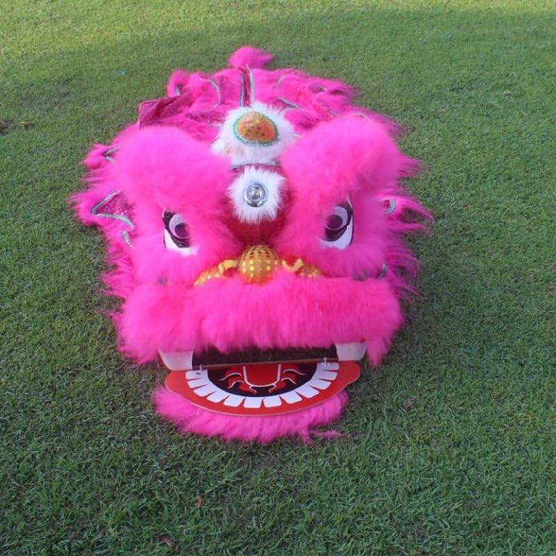 14 Inch Double Lion Dance Mascot Costume Chinese Traditional Dragon Lion Dance for 15+ Age Party Carnival Festivall(Pink)