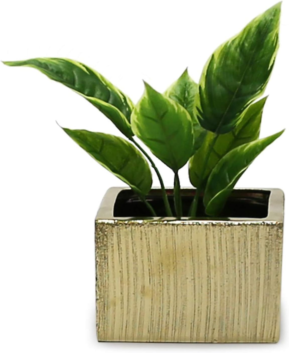 WGV Block Ceramic Vase Bulk, Width 6', Height 4', Elegant Morden Short Square Floral Planter Terrarium Container Table Dresser for Event Accent Home Office Decor Gold Etched 12 Pieces