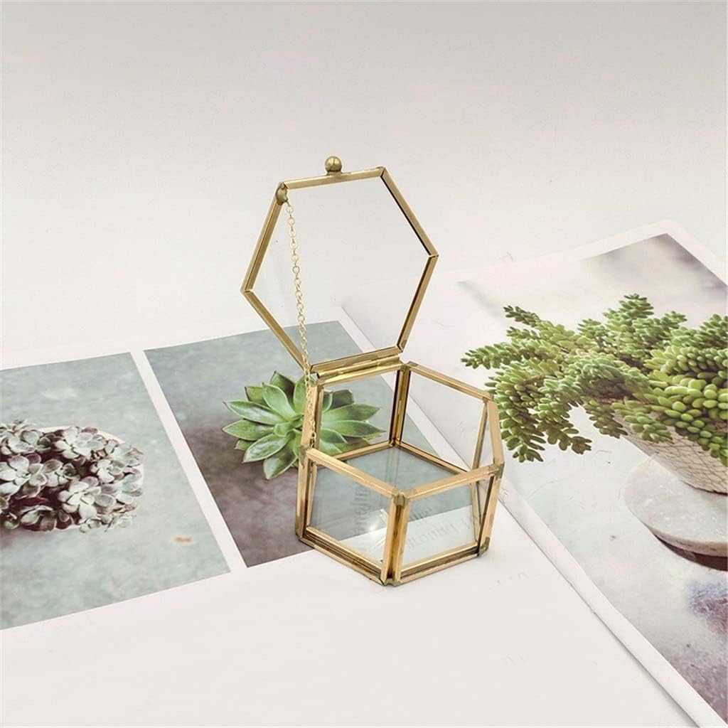 2Pcs Geometrical Clear Glass Jewelry Box Jewelry Organize Holder Tabletop Succulent Plants Container Home Storage