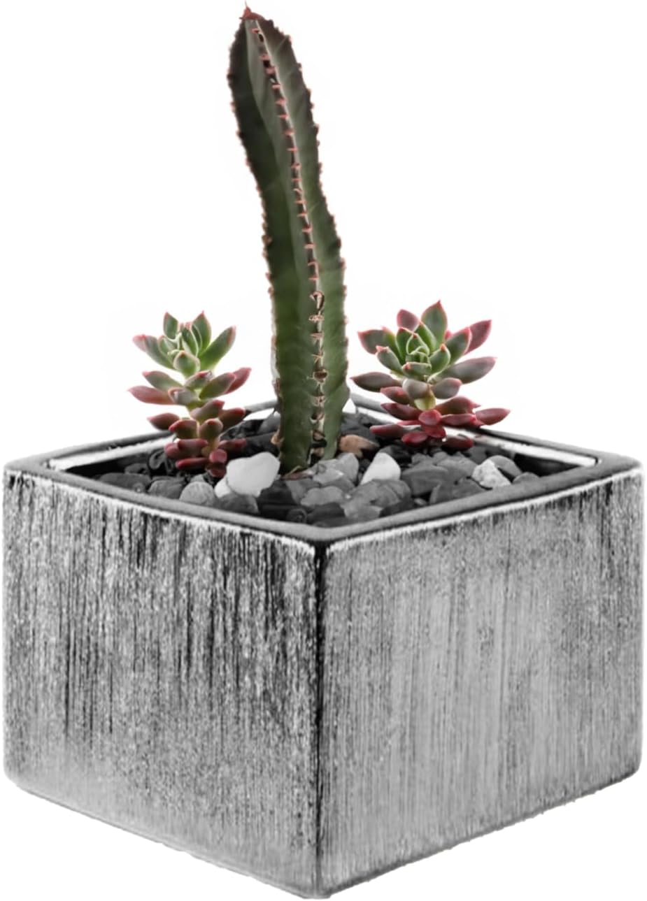 WGVI Silver Scratched Square Ceramic Vase, Width 6', Height 4', Elegant Morden Short Square Pan Floral Planter Terrarium Pot Container Tabletop for Event Accent Home Decor 12 Pieces
