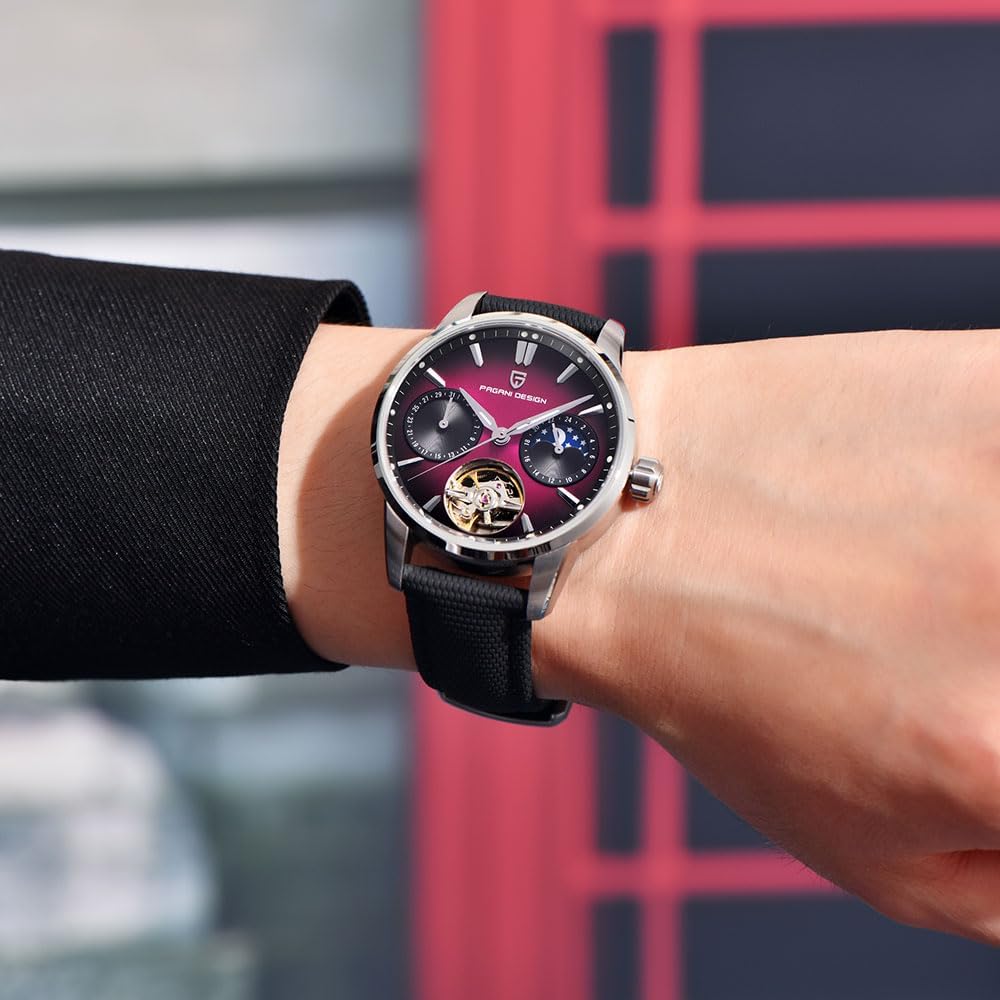 Pagani Design Luxury Men's Automatic Watch Skeleton Tourbillon Moon Phase Stainless Steel 100m Waterproof Leather Strap Men's Mechanical Watch