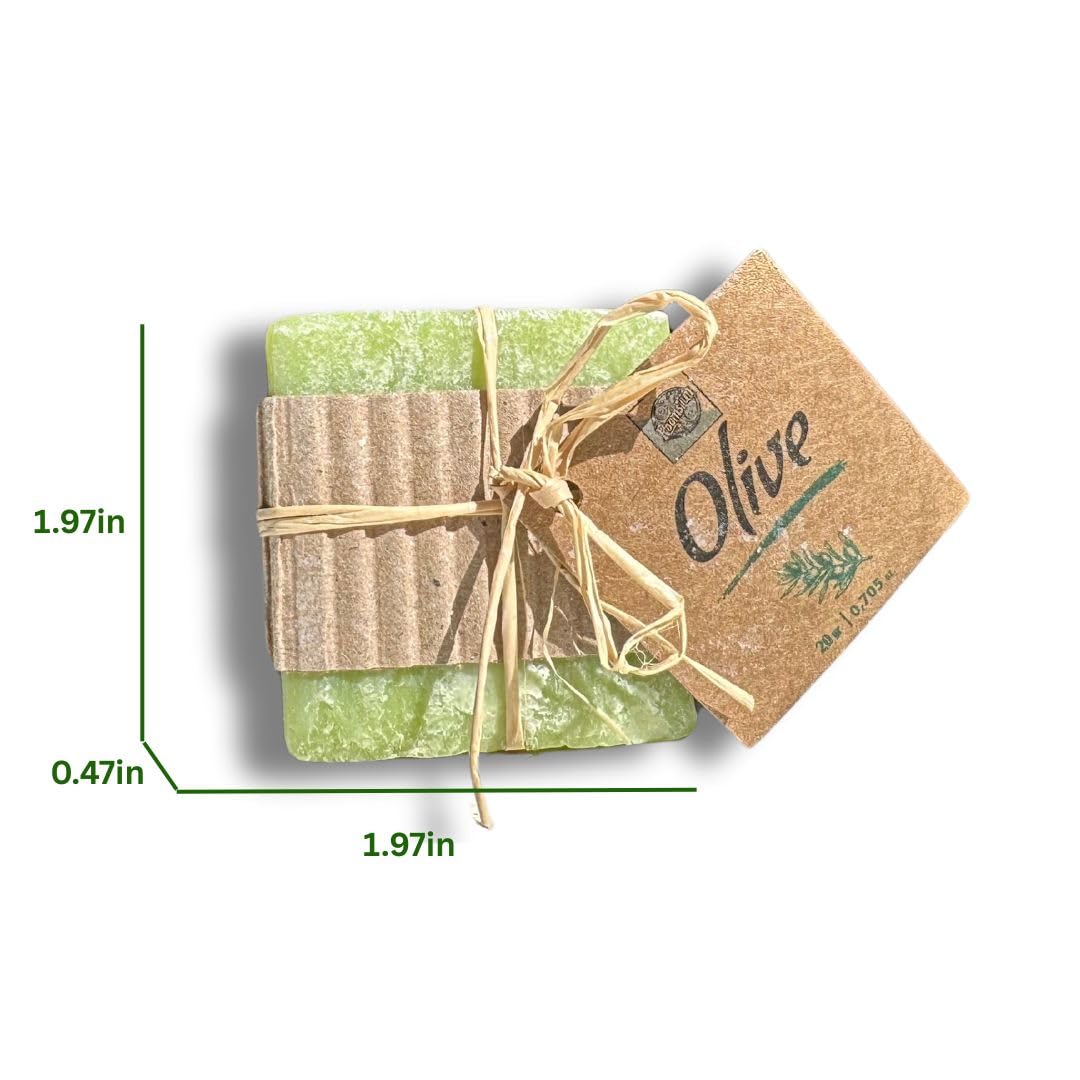 Guest Bathroom Toiletries Bundle – 170 Piece Hospitality Amenity Set with Shampoo, Conditioner, Shower Gel, Lotion & Hand-Wrapped Olive Oil Soaps for Hotels & Rentals