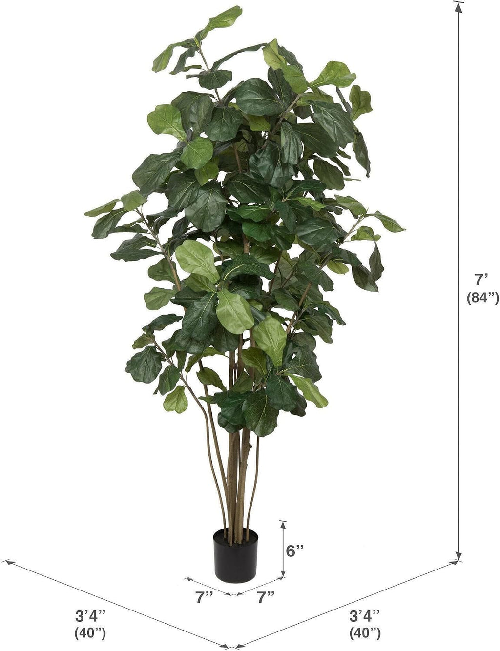 Vickerman Everyday 7' Artificial Potted Green Fiddle Tree with 240 Leaves - Lifelike Home Or Office Decor - Premium Faux Potted Tree - Maintenance Free