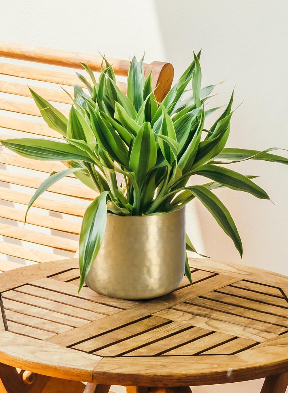 Serene Spaces Living Antique Brass Look Gold Hammered Pots: Stylish Indoor Planter, Decorative Accent for Potted Plants, Gold Flower Vase for Wedding, Extra Small, Set of 12