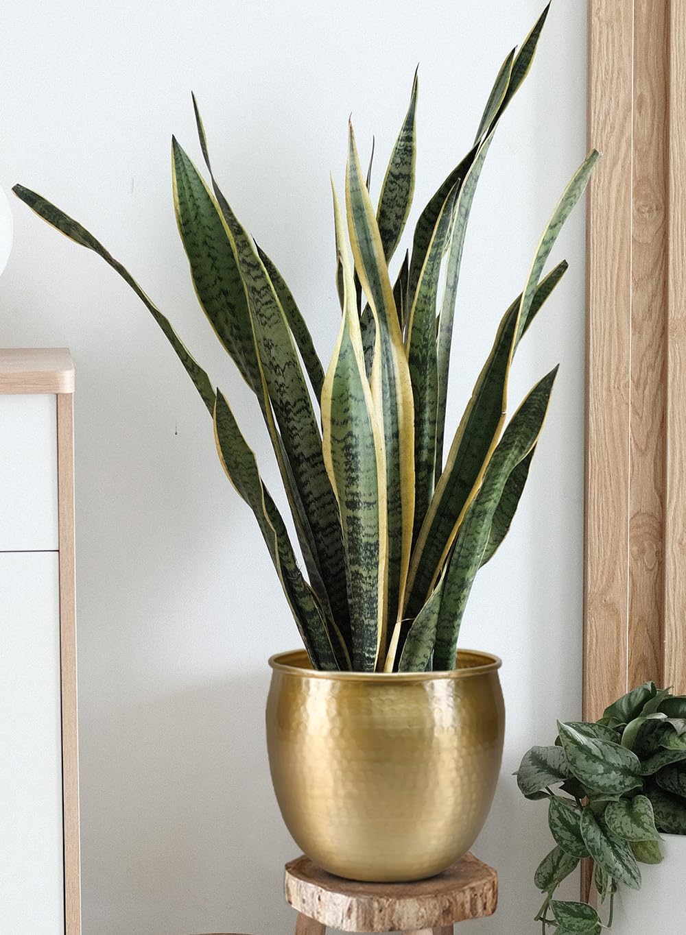 Serene Spaces Living Gold Brass Look Vintage Aluminum Vase - Perfect Decorative Accent for Plants, Weddings, and Events, Metallic Pot for Home, Large, Measures 10.75' Diameter and 9.75' Tall