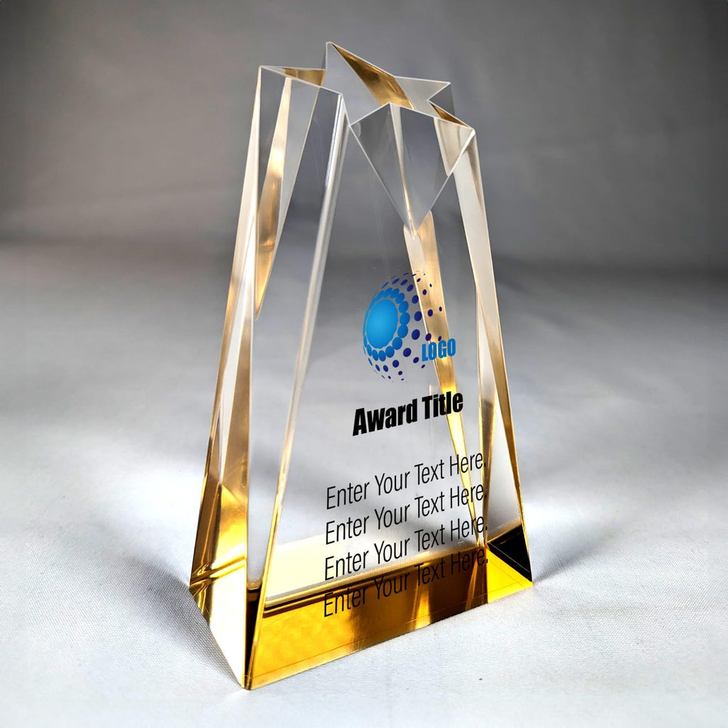 Acrylic Award- Personalized Award for Employee of the Month, Appreciation Gifts, Custom Trophy, Employee Appreciation, Work Anniversary, Co-Worker Gifts