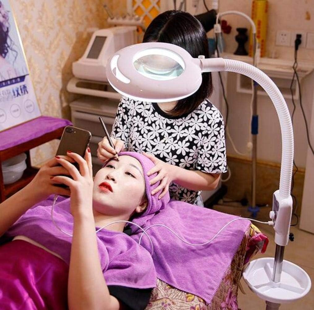 Magnifying Glass,Magnifying Magnifier Lamp 360° Rotatable Floor Standing Magnifying Lamp with 20X Light Salon Spa Beauty Tattoo,Pink A/A