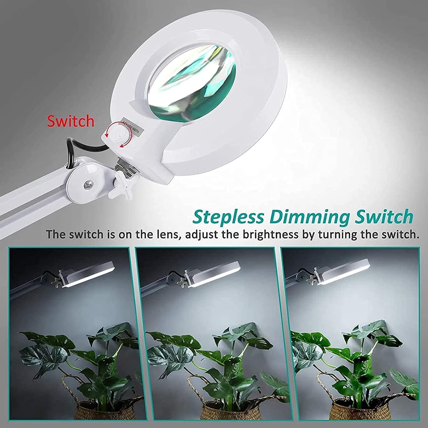 5X LED Beauty Magnifying Floor Lamp with 5 Wheels Rolling Base, Dimmable, Adjustable Arm Lighted Magnifier for Reading, Crafts & Pro Tasks