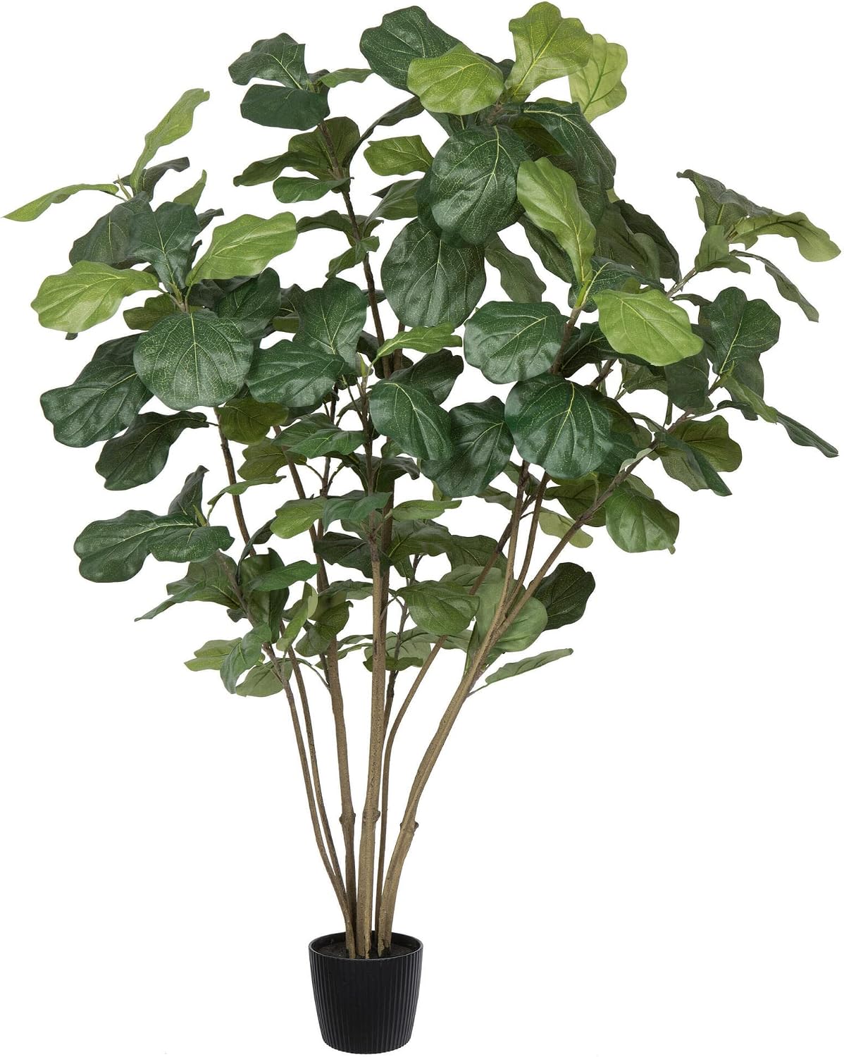 Vickerman 5' Artificial Green Potted Fiddle Tree - Lifelike Faux Fiddle Leaf Fig with 168 Realistic Leaves, Perfect Indoor Accent Plant for Home or Office Decor, Maintenance-Free Natural Charm
