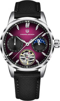 Pagani Design Luxury Men's Automatic Watch Skeleton Tourbillon Moon Phase Stainless Steel 100m Waterproof Leather Strap Men's Mechanical Watch