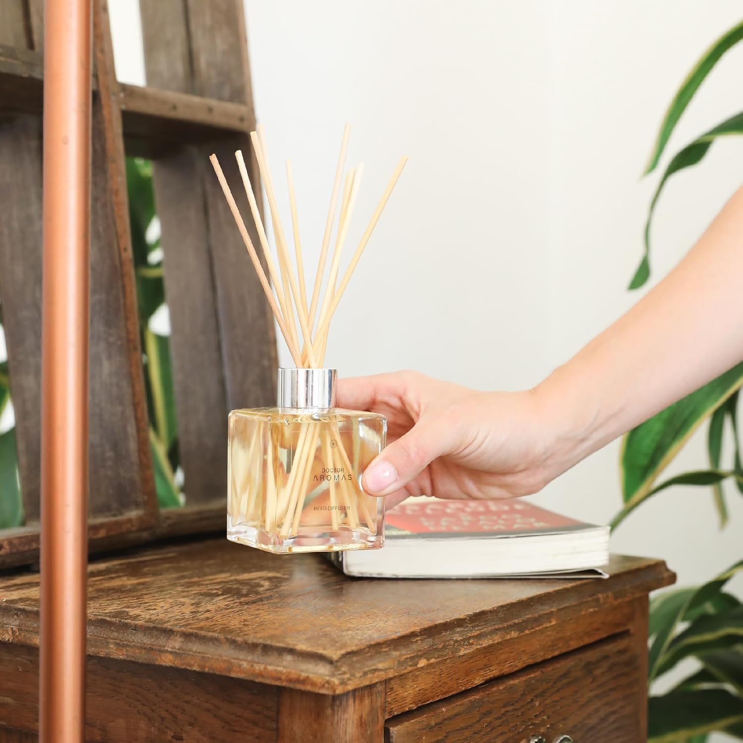 Doctor Aromas Premium Reed Diffuser Diffuser Glass Jar Set Elegant Scent for Home, Room or Bathroom and Fresh Air Scent Lasting Home Fragrance Over 90 Days (Pack of 2, Hope)