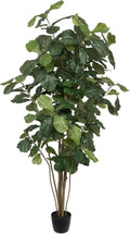 Vickerman Everyday 7' Artificial Potted Green Fiddle Tree with 240 Leaves - Lifelike Home Or Office Decor - Premium Faux Potted Tree - Maintenance Free
