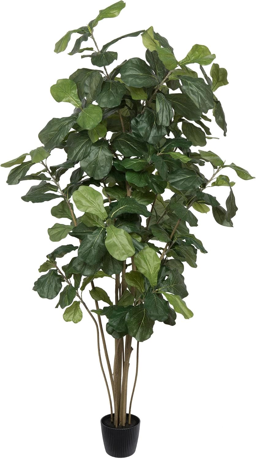 Vickerman Everyday 7' Artificial Potted Green Fiddle Tree with 240 Leaves - Lifelike Home Or Office Decor - Premium Faux Potted Tree - Maintenance Free