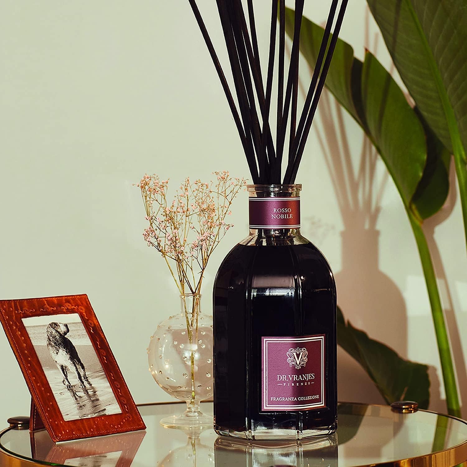 Dr. Vranjes - Rosso Nobile 500 ml Diffuser + Double Pack of Black Sticks (3 Pieces Bundle) - Luxury Home Fragrance, Made in Italy, Main Scent Fruity: Orange, Strawberry and Red Berries, Birch