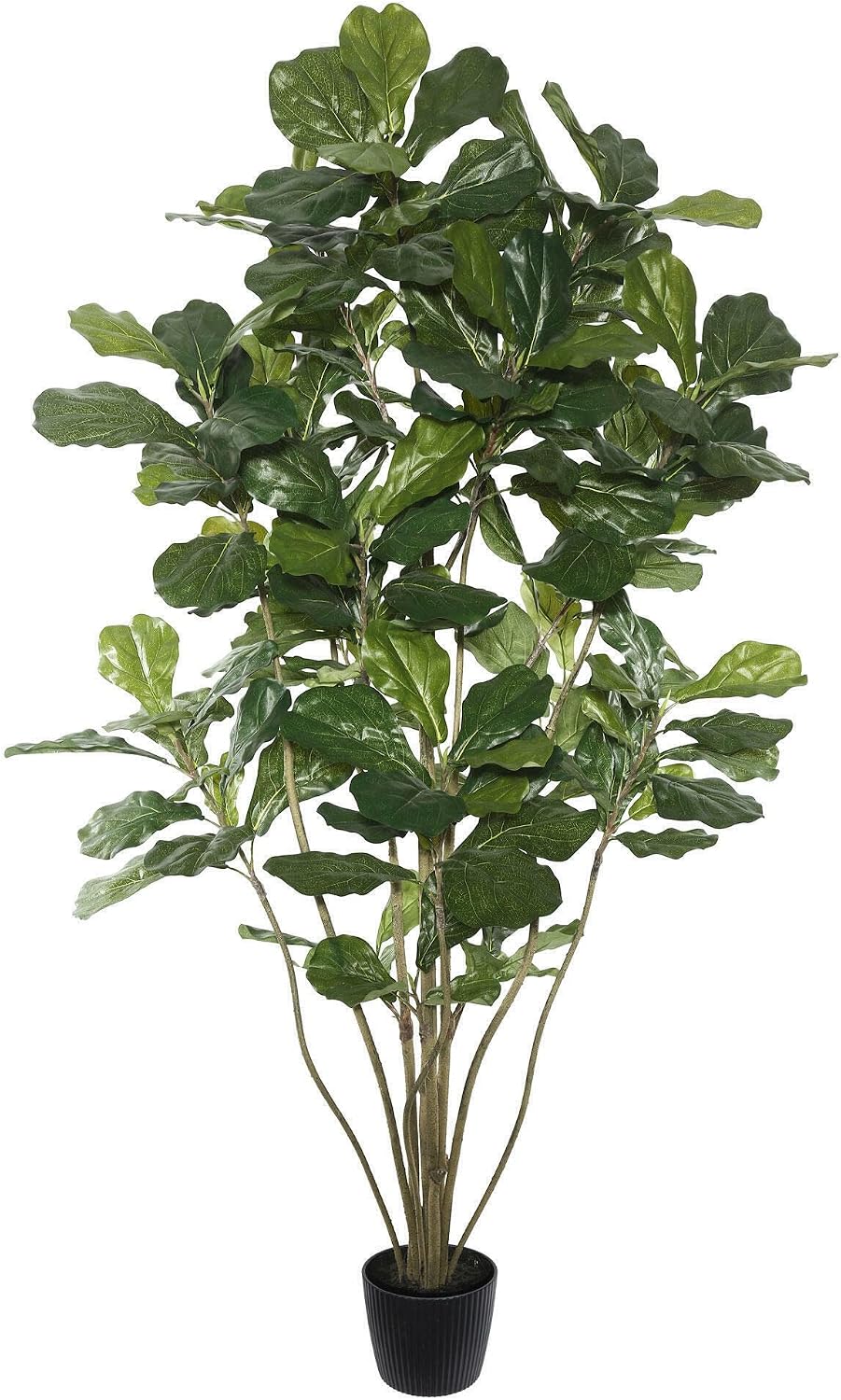 Vickerman Everyday Faux Fiddle Leaf Fig Tree 6ft Tall Green Silk Artificial Indoor Fiddle Plant with 204 Large Fiddle Leaves and Multiple Stems Home Office Decor
