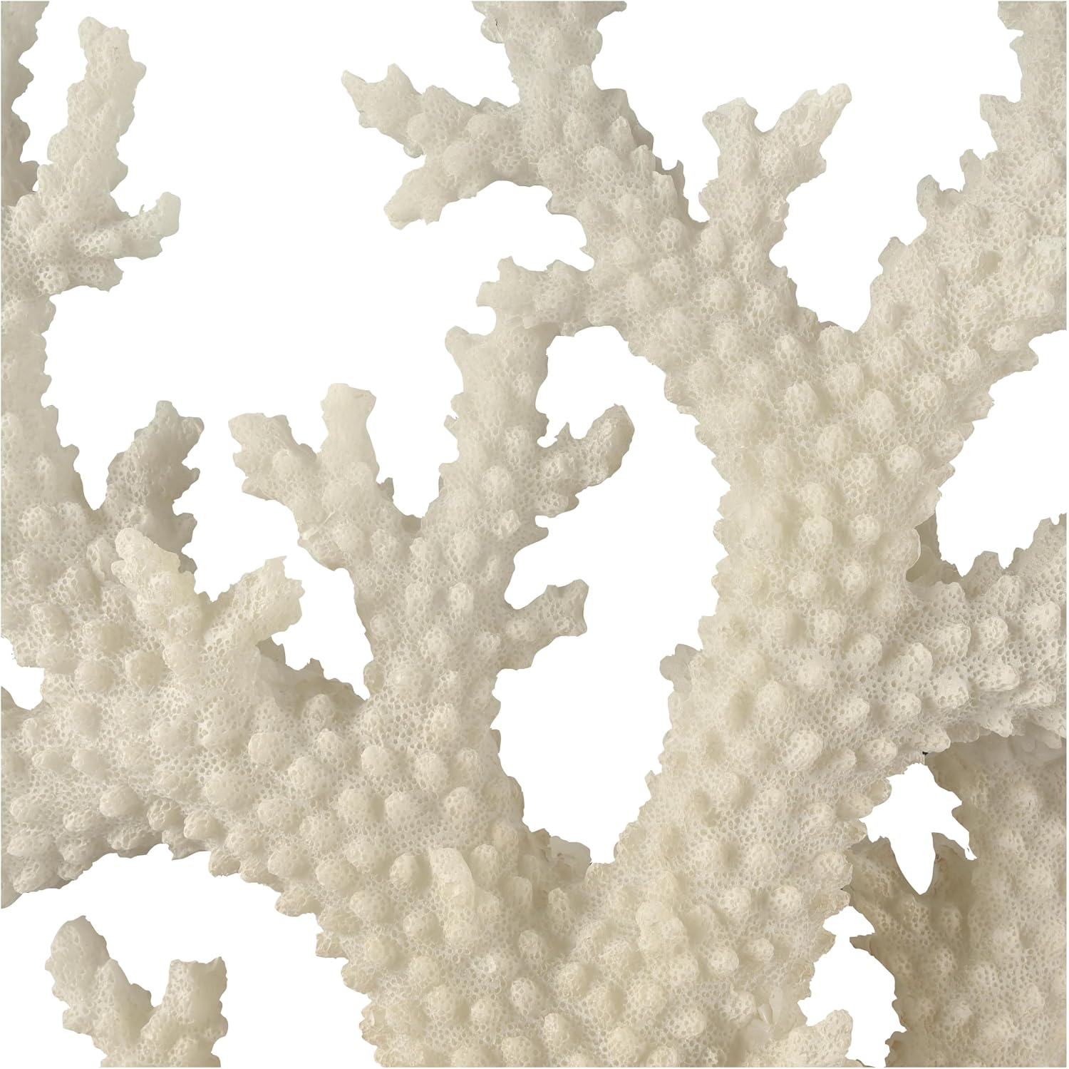 Deco 79 Polystone Coral Decorative Sculpture Home Decor Statue with Clear Acrylic Base, Accent Figurine 21' x 6' x 21', Cream