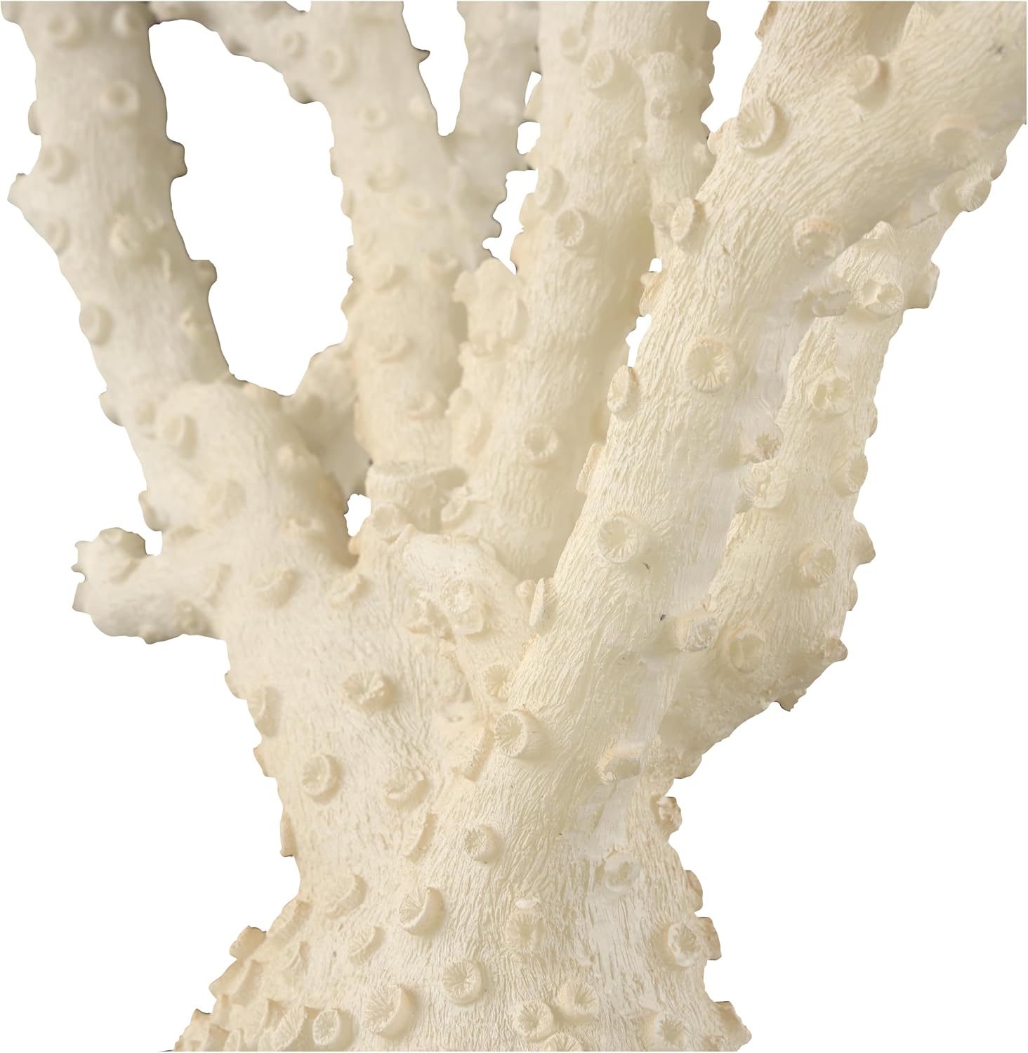 Deco 79 Polystone Coral Decorative Sculpture Home Decor Statue with Clear Acrylic Base, Accent Figurine 26' x 8' x 23', Cream
