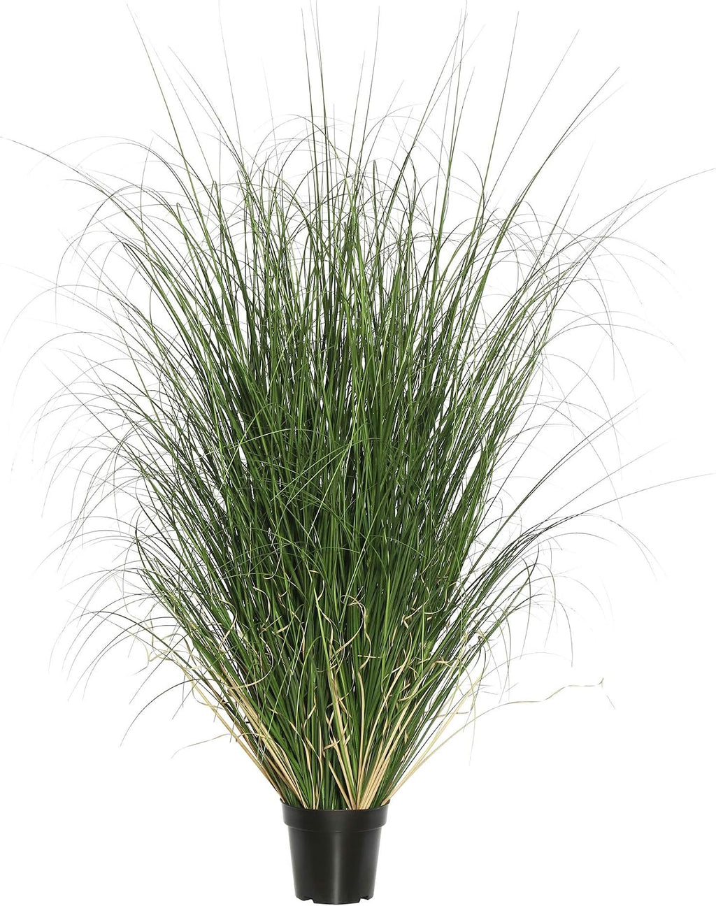 Vickerman 60' Tall PVC Artificial Potted Green Curled Grass Decor - Realistic Looking Greenery Decoration for Home Kitchen Business Office Arrangements