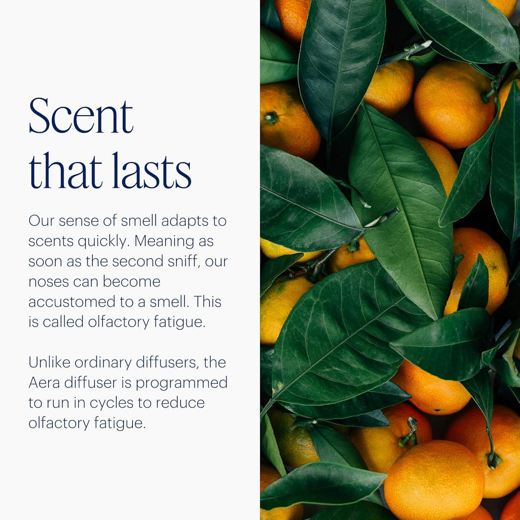 AERA Mini Waterless Plug-in Essential Oil Diffuser for Rooms 100–400 Sq Ft + Citrus Grove Scent – Smart Scent Machine with App & Alexa Control, Luxury Home Fragrance Starter Kit (Includes 1 Capsule)