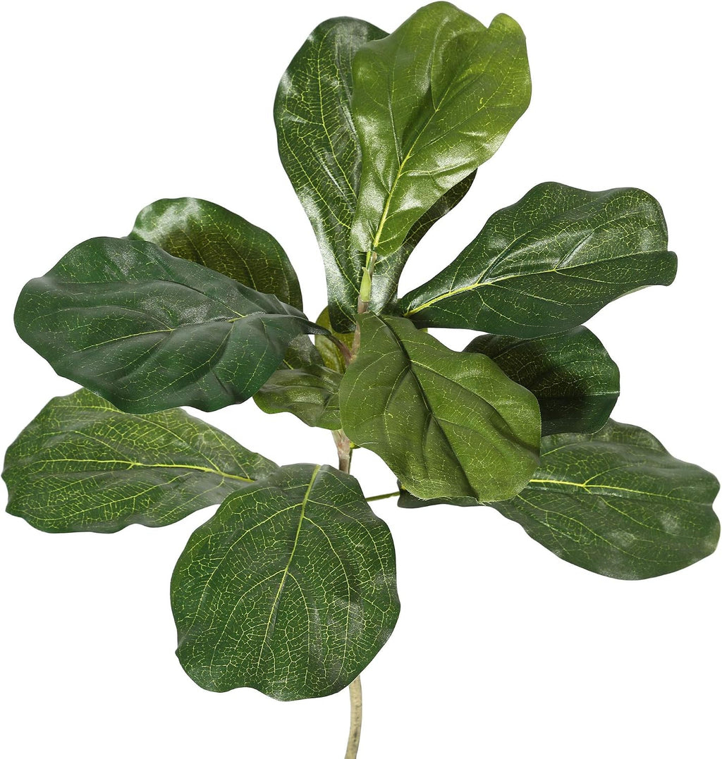 Vickerman Everyday 7' Artificial Potted Green Fiddle Tree with 240 Leaves - Lifelike Home Or Office Decor - Premium Faux Potted Tree - Maintenance Free