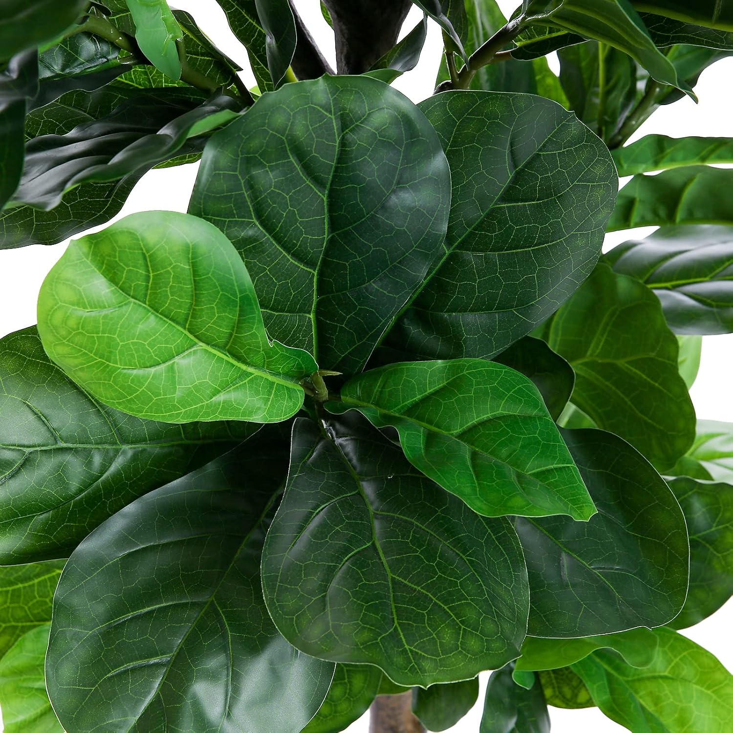FLOWORLD Fiddle Leaf Fig Tree 6ft Tall Artificial Tree in Pot Fake Ficus Lyrata Plants with 184 Decorative Fiddle Leaves Faux Fig Trees for Home Office Living Room Decor Indoor Outdoor, 2 Pack