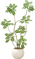 Artificial Mahonia Tree 6FT, Realistic Faux Indoor Tree with White Planter and Decorative Stones, Real-Touch Leaves, Bendable Branches, Tall Fake Floor Plant for Living Room Office Entryway Decor