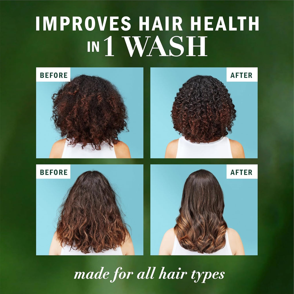Herbal Essences Argan Oil Repair Shampoo & Conditioner Set, Moisturizes & Smoothes, Paraben-Free, Color-Safe, pH-Balanced, Citrus Scent, 20.2 Fl Oz, 8-Pack